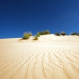 deserto